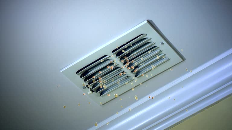 Best Mold and Mildew Removal from Ducts in USA